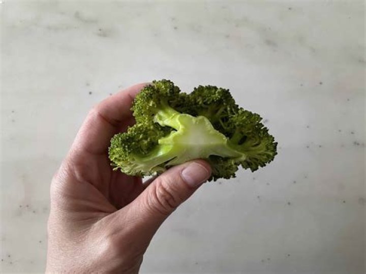 Can babies eat broccoli?