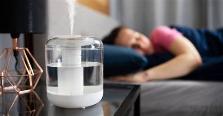 Can humidifiers help with mold?