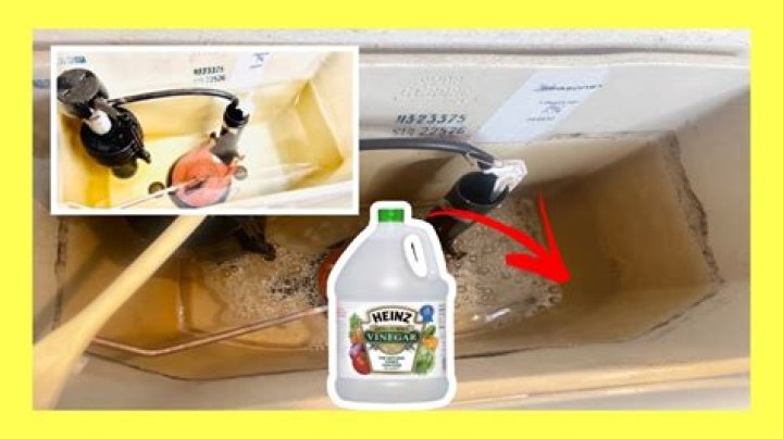 Can I put vinegar in toilet tank?