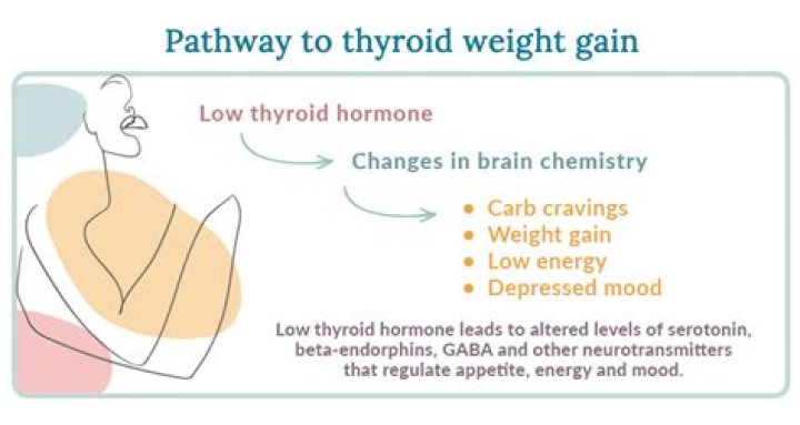 Can too much levothyroxine cause weight gain?