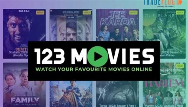 Can you go to jail for using 123movies?