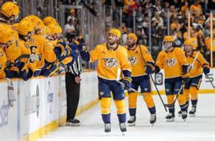 Do the Nashville Predators make money?