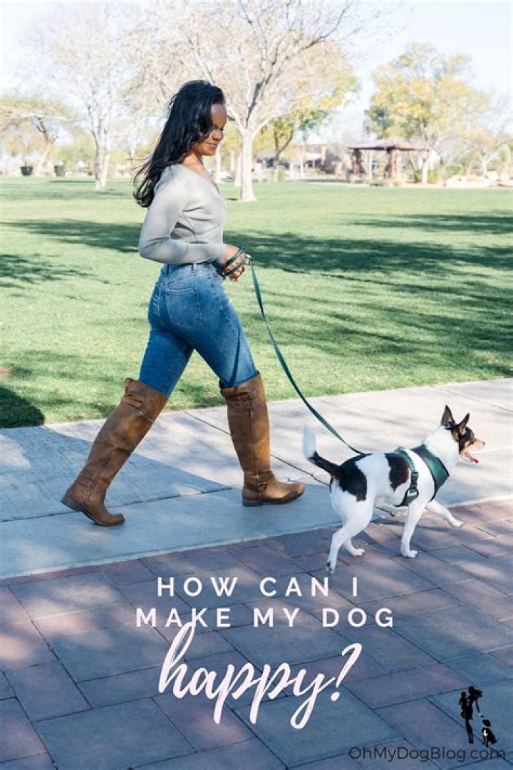 How can I make my marriage happy?