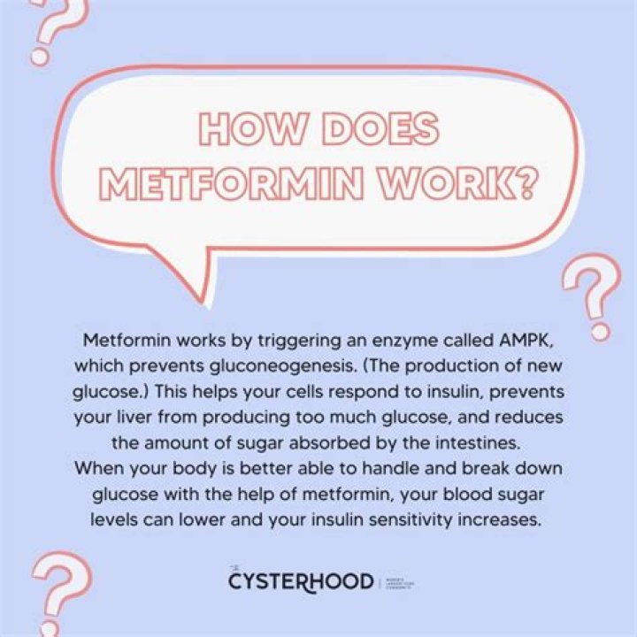 How much does metformin 500mg lower blood sugar?