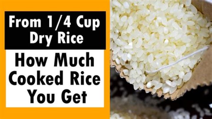How much is a bag of rice in Syria?