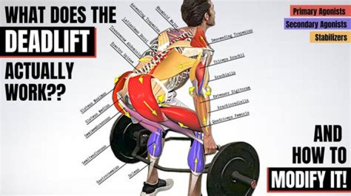 What happens if I only do deadlifts?