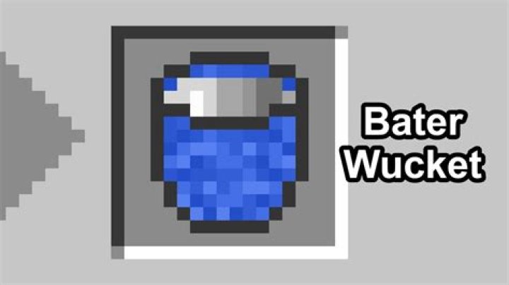 What is a Bater?