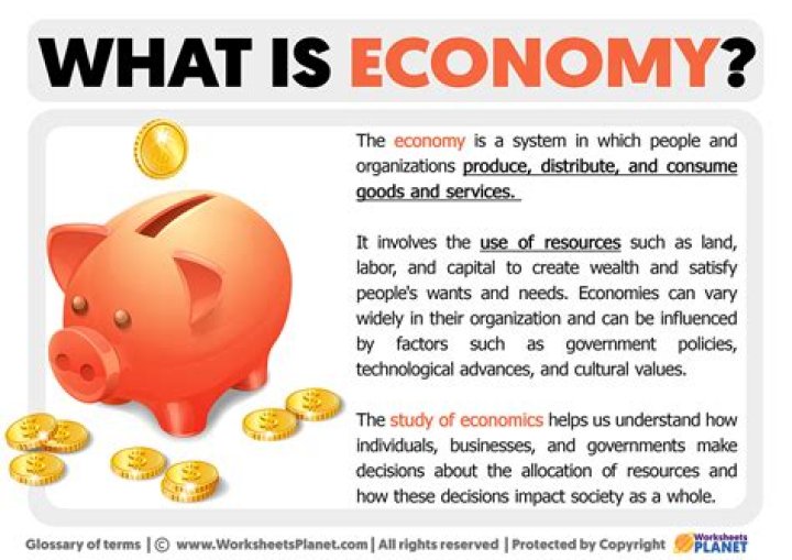 What is a brown economy?