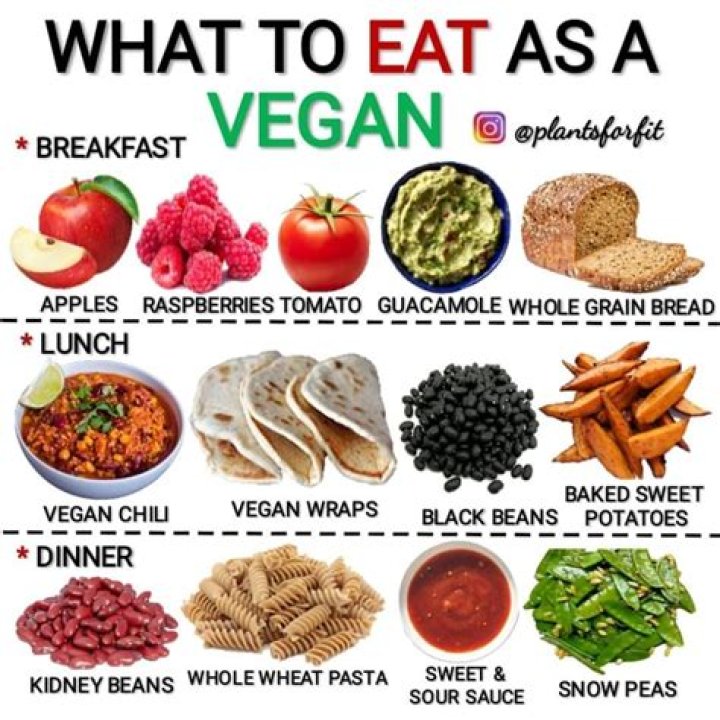 What is a true vegan?