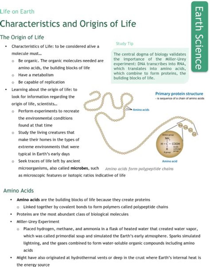 What is the origin of the word aunt?