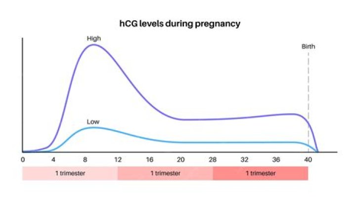 What level of hCG indicates pregnancy?