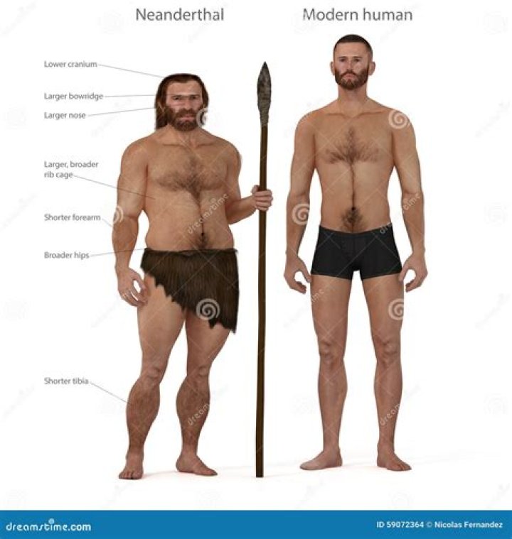 What percentage of humans have Neanderthal DNA?
