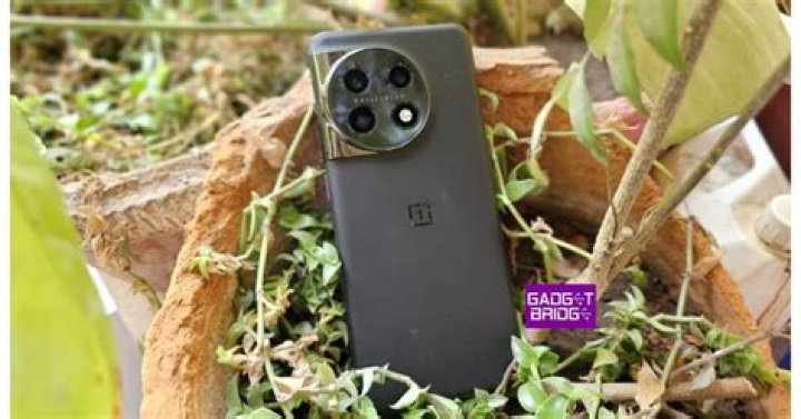 Which phone has the highest RAM?