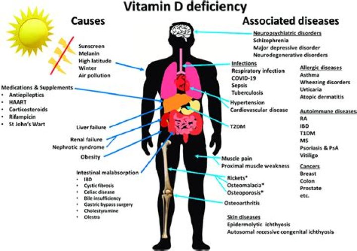 Which vitamin deficiency causes skin diseases?