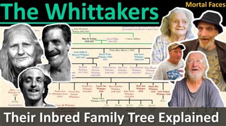Who are the Whitakers?
