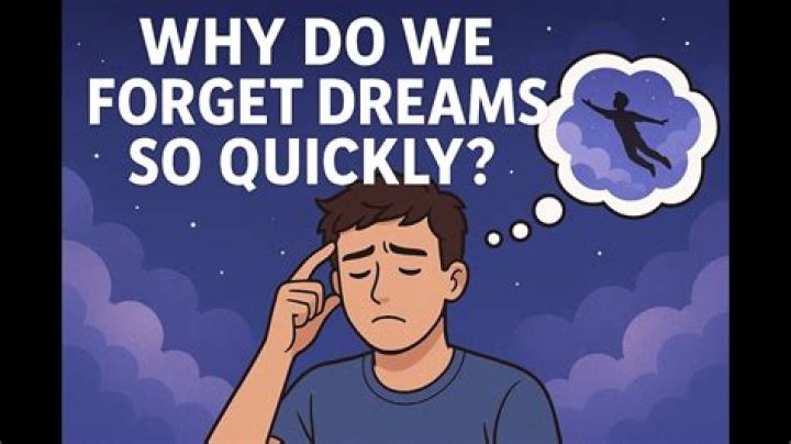Why do we forget our dreams so quickly?